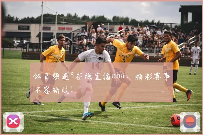 体育频道5在线直播cba，精彩赛事不容错过！