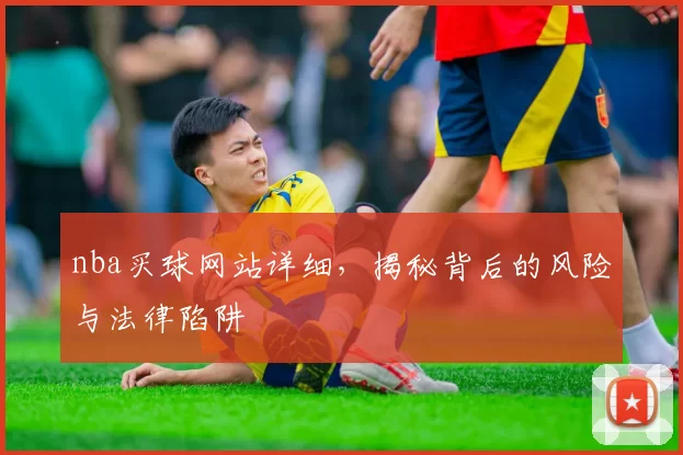 nba买球网站详细，揭秘背后的风险与法律陷阱