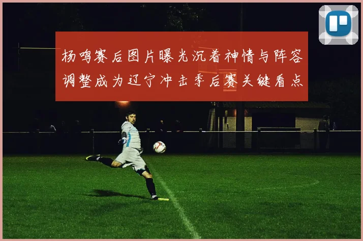 杨鸣赛后图片曝光沉着神情与阵容调整成为辽宁冲击季后赛关键看点